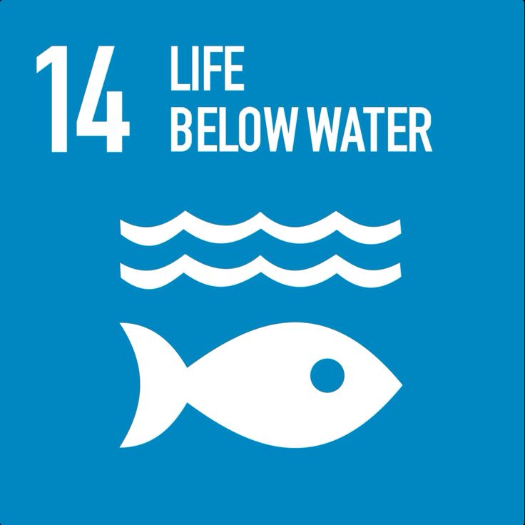SDG 14